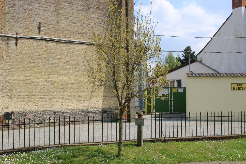 Peace Tree Beloeil