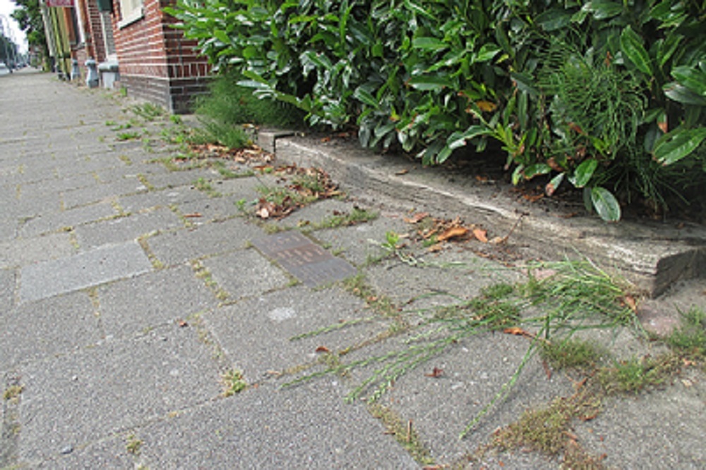 Memorial Stones Nijverheidsstraat 69 #4