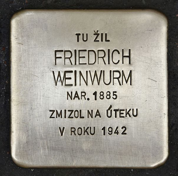 Stolperstein Gorkého 201/11 #1