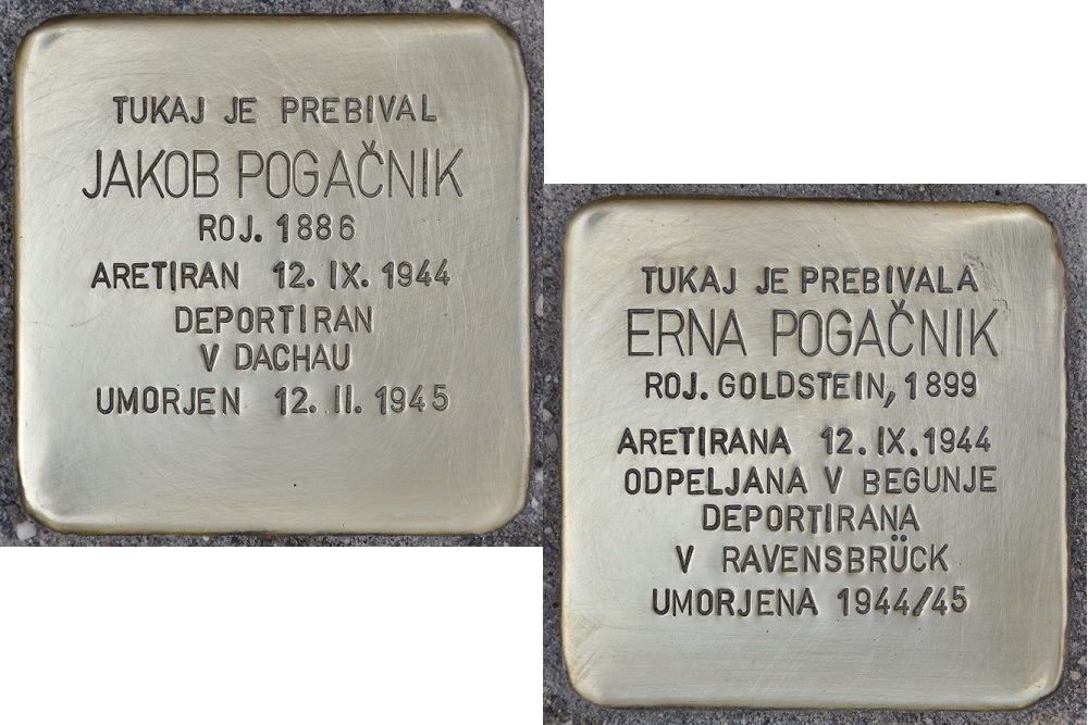 Stolpersteine Lestikova ul. 15 #3