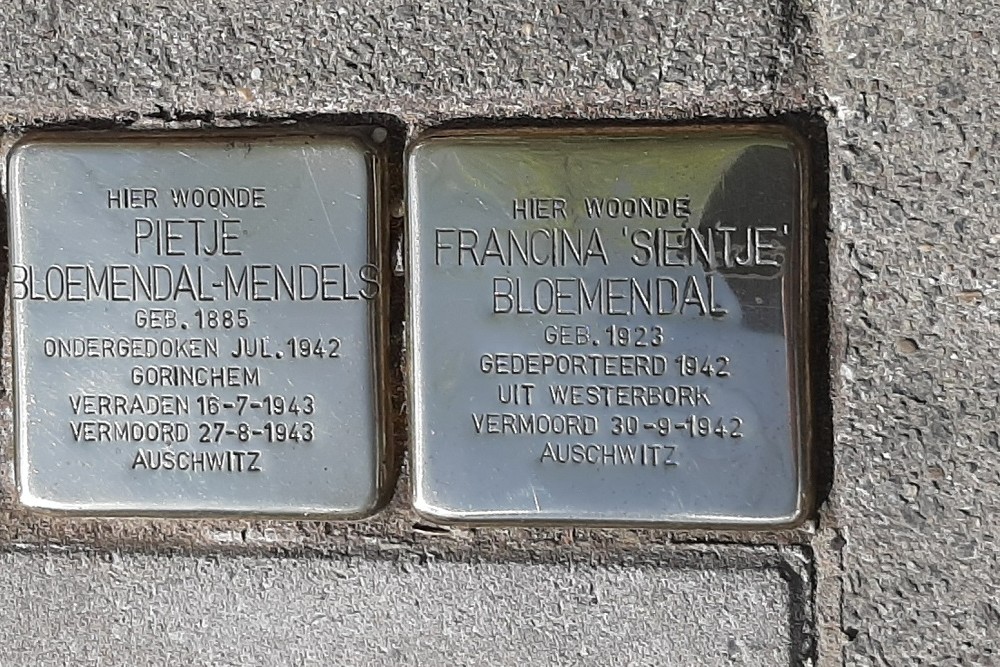 Stolpersteine Danie Theronstraat 8 #1