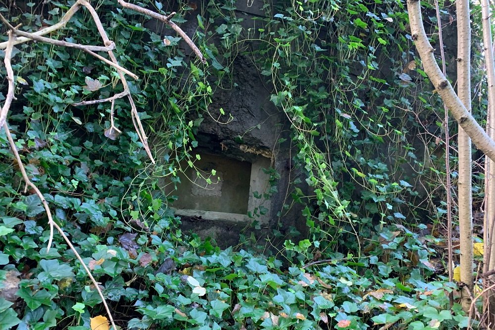 Bunker BV 10 Jevoumont #3