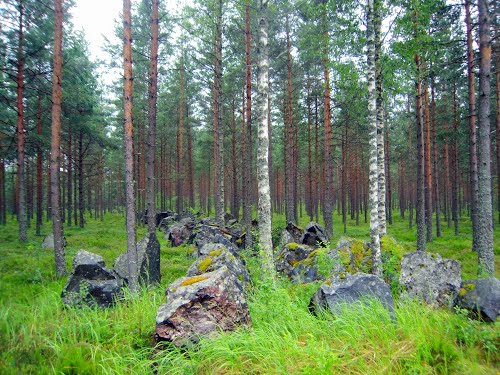 Harparskog Linie - Tankversperring #1