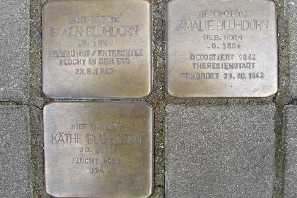Stumbling Stones Theodor-Heuss-Ring 60 #1