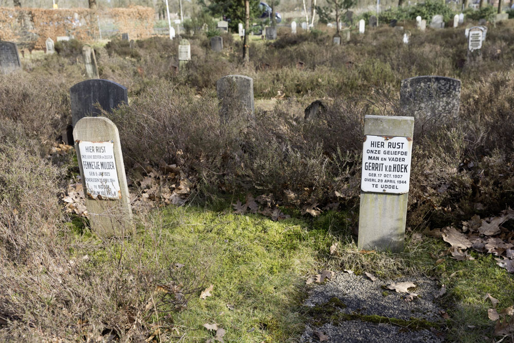 Dutch War Graves Elspeet #5