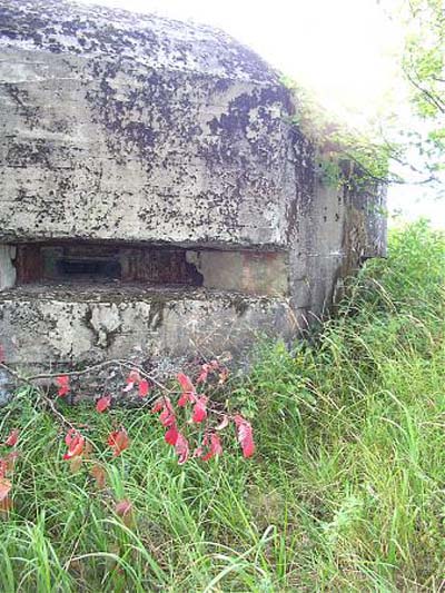 Stalin Line - Casemate Kerro (A)