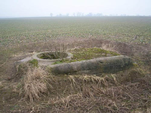 Festung Thorn - Ringstand 58c (B) Swierczyny