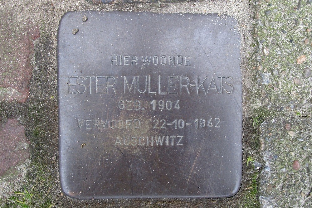 Stolpersteine Dennenbosweg 88 #3