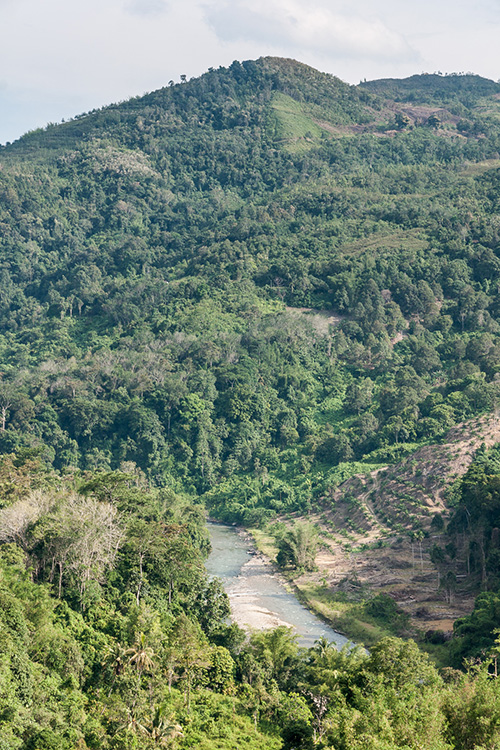 Locatie Ranau No. 2 Prisoners of War Jungle Camp