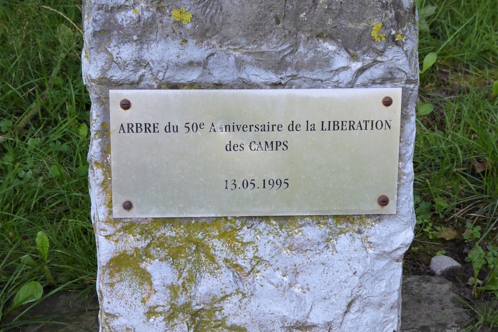 Memorial tree 50 years of liberation of the camps Namen #3