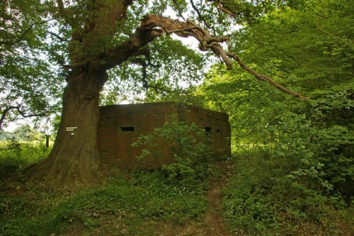 Pillbox FW3/24 Betchworth #1