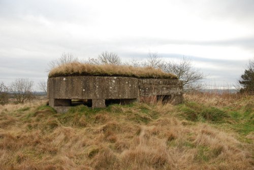 Pillbox Harlow Hill #1