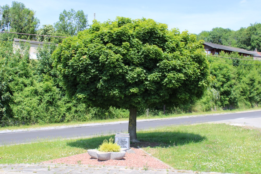 Bevrijdingsboom Bas-Oha