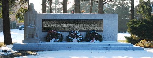 Oorlogsmonument Teesdorf #1