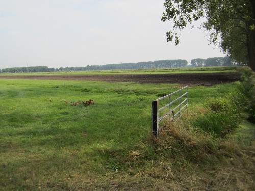 Crash Site B-17F 42-29798 #3
