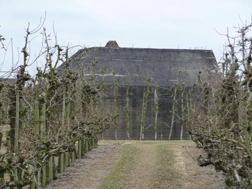 Groepsschuilplaats Type P Achterdijk