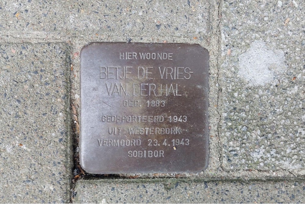 Stumbling Stone Schieweg 214a #2
