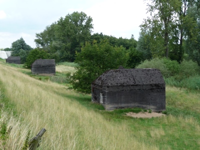 Groepsschuilplaats Type P Diefdijk #2