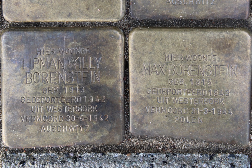 Stumbling Stones Van de Wateringelaan 231 #3