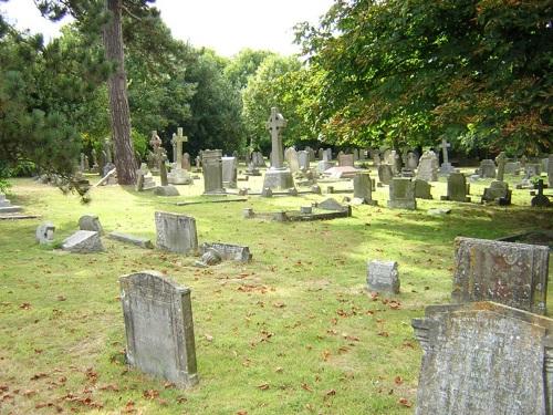 Oorlogsgraven van het Gemenebest St Martin Churchyard #1