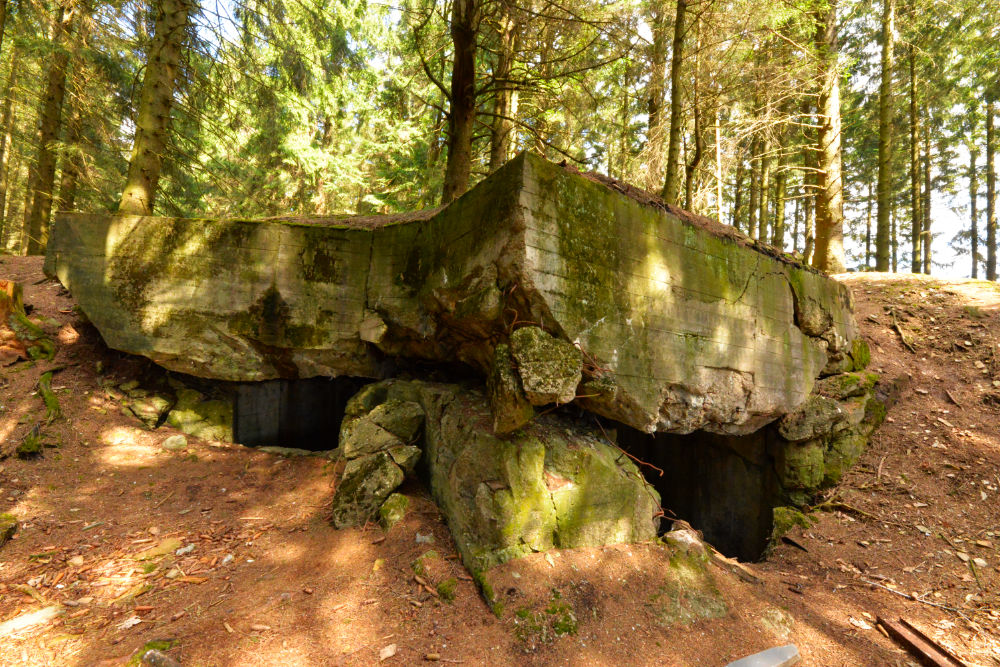 Bunker P105 Ochsenkopf-Peterberg #1