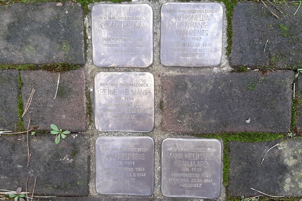 Stumbling Stones Adervendreef 2 #1