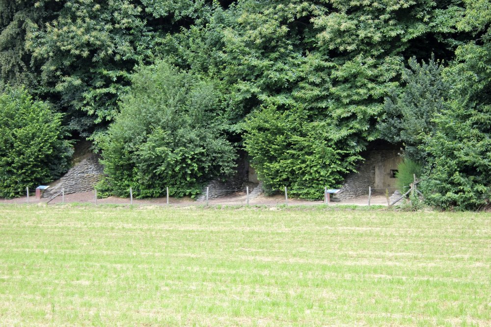 Bunkers Lettenberg Kemmel #1