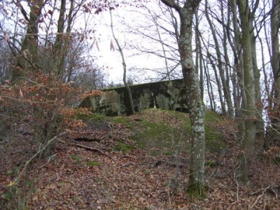 Westwall - Restant Bunker Irrel #1