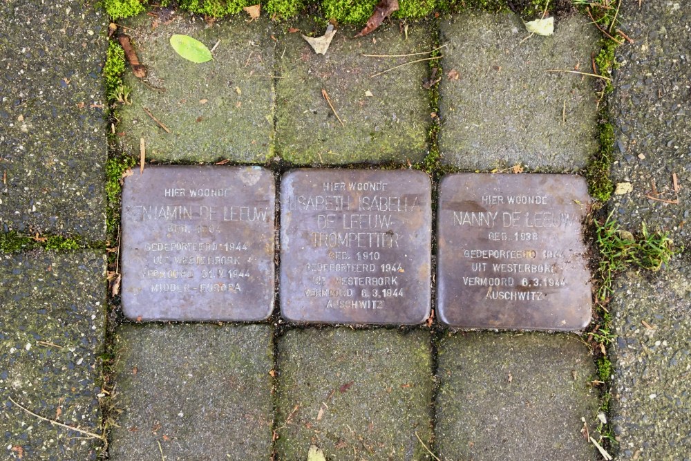 Stolpersteine Van der Helstlaan 29 #1