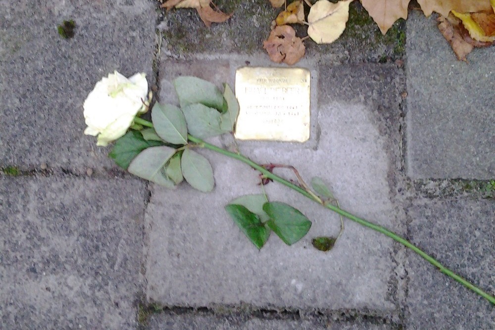 Stolperstein Sluiskade 88 #3