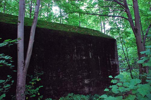 Field Headquarters SS-Obergruppenführer Hans Lammers #3