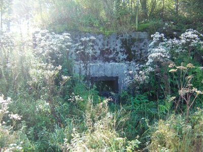 Westwall - Pillbox No. 139/40 on Der Buhlert #5