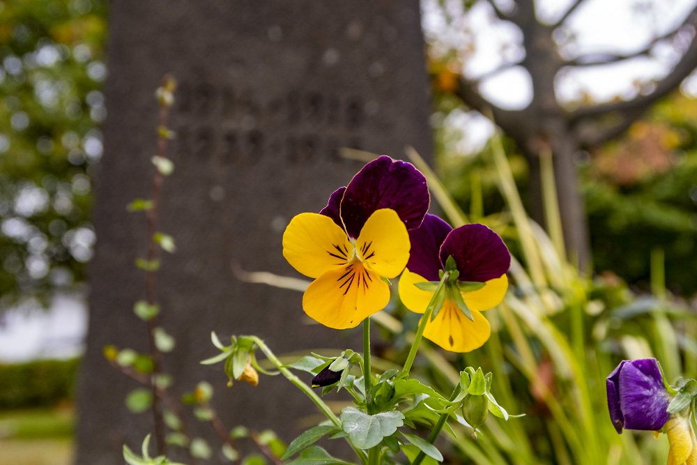 War Memorial Boich #2