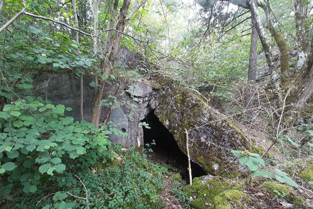 Flakstellung Zingsheim Bunker 1 #4