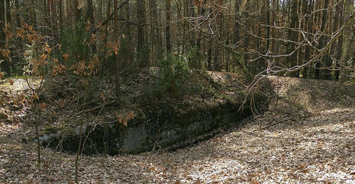 Remains German Bunker