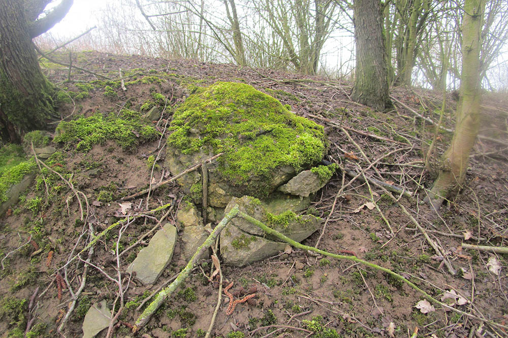 Westwall - Restanten Bunkers #2