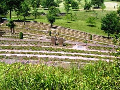 German War Cemetery Dahn #3