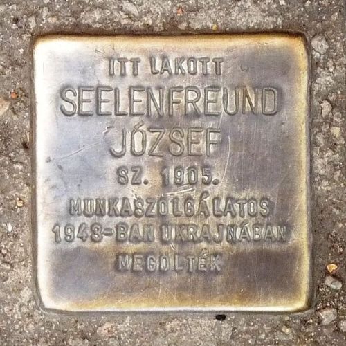 Stolperstein Szűcs utca 3/b #1