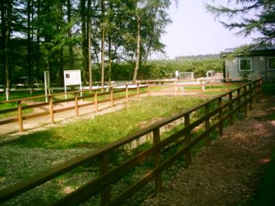 Kaltenkirchen Concentration Camp