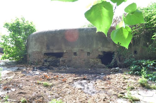 Chinese Dike Casemate B-5 Wuhan #1