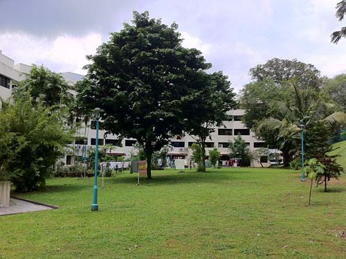 Site Former Buona Vista Battery #2