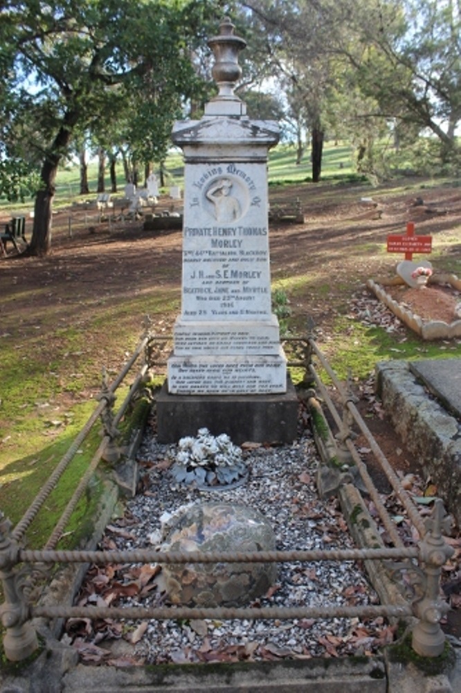 Commonwealth War Grave Holy Trinity Anglican Cemetery