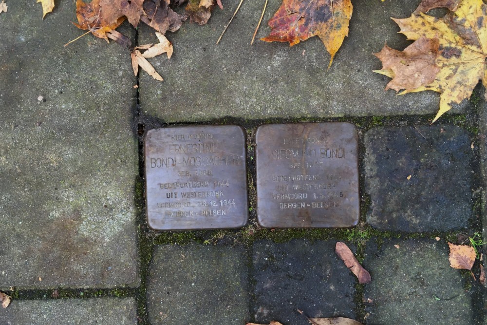 Stolpersteine Fabritiuslaan 17 #1