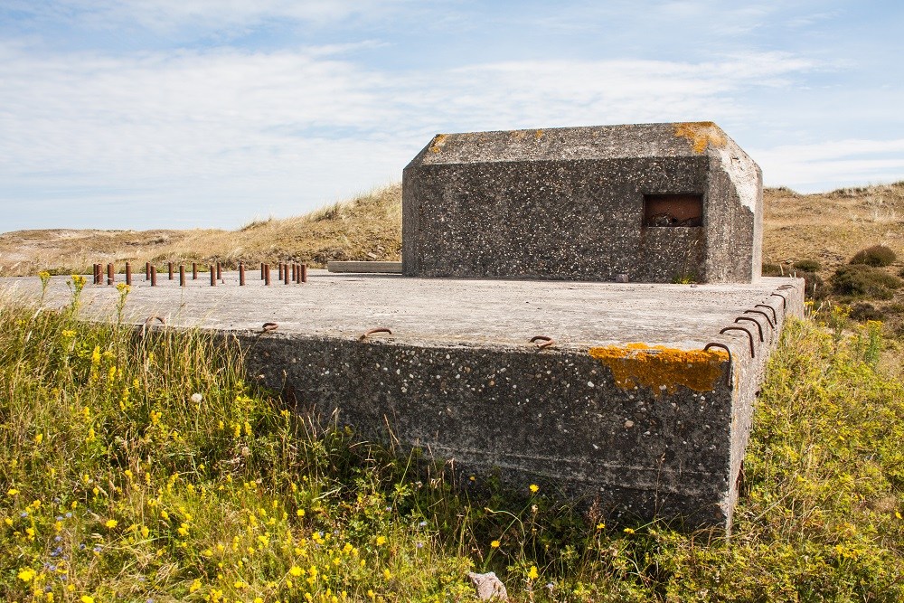 Batterij Den Hoorn (BP 19b) - Dutch Gun Emplacement #2