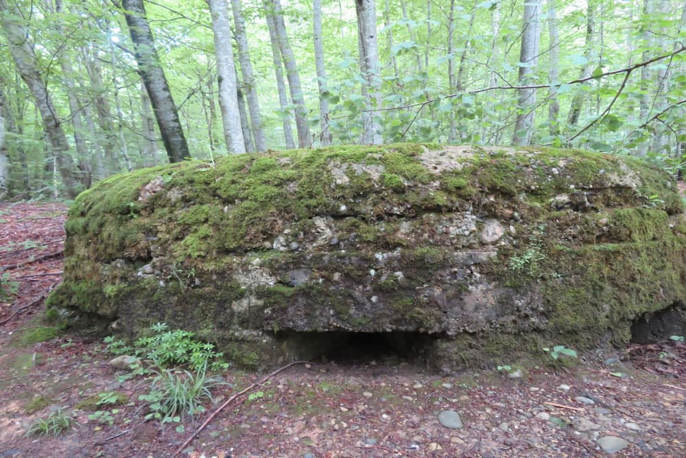 German Infantry Blockhouse Mooslargue #5