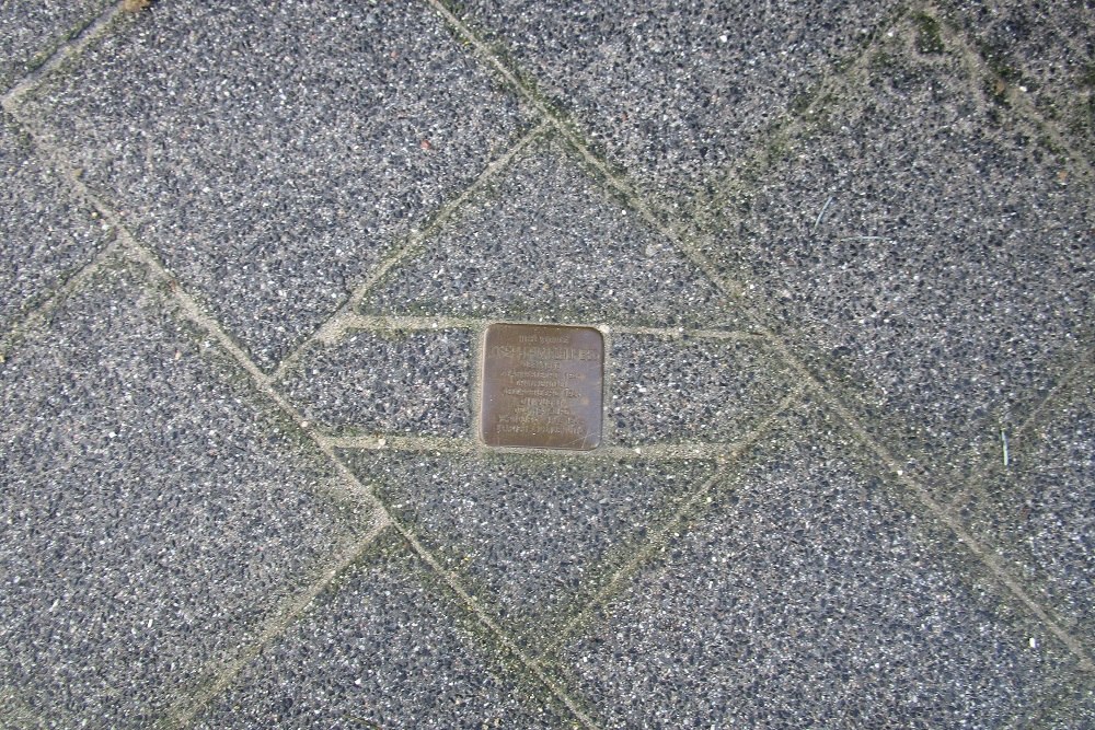 Stumbling Stone Van Lansbergestraat 100 #1