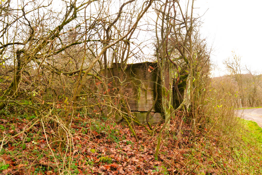 Westwall Bunker Nierfeld #3