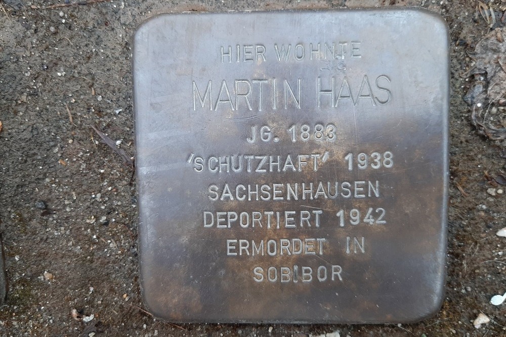 Stolpersteine Steinstrae 3 (nu Am Markt 14) #3