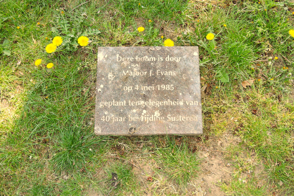 Remembrance Tree Majoor Evans Susteren