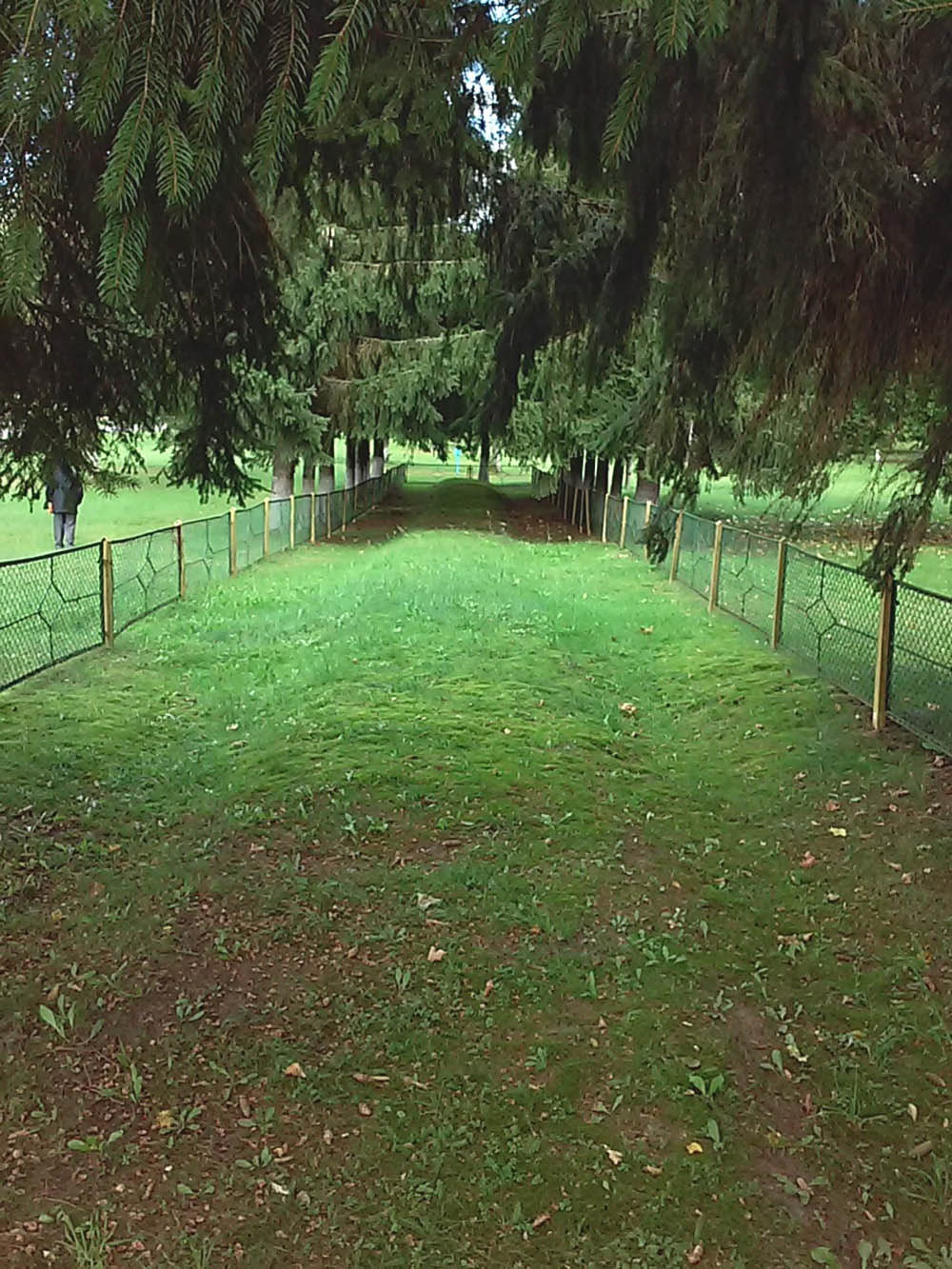 Mass Grave Holocaust Victims 1942 #2